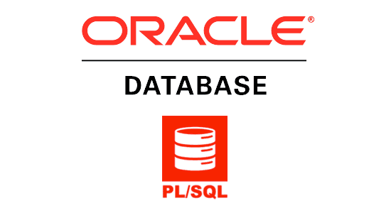 oracle plsql