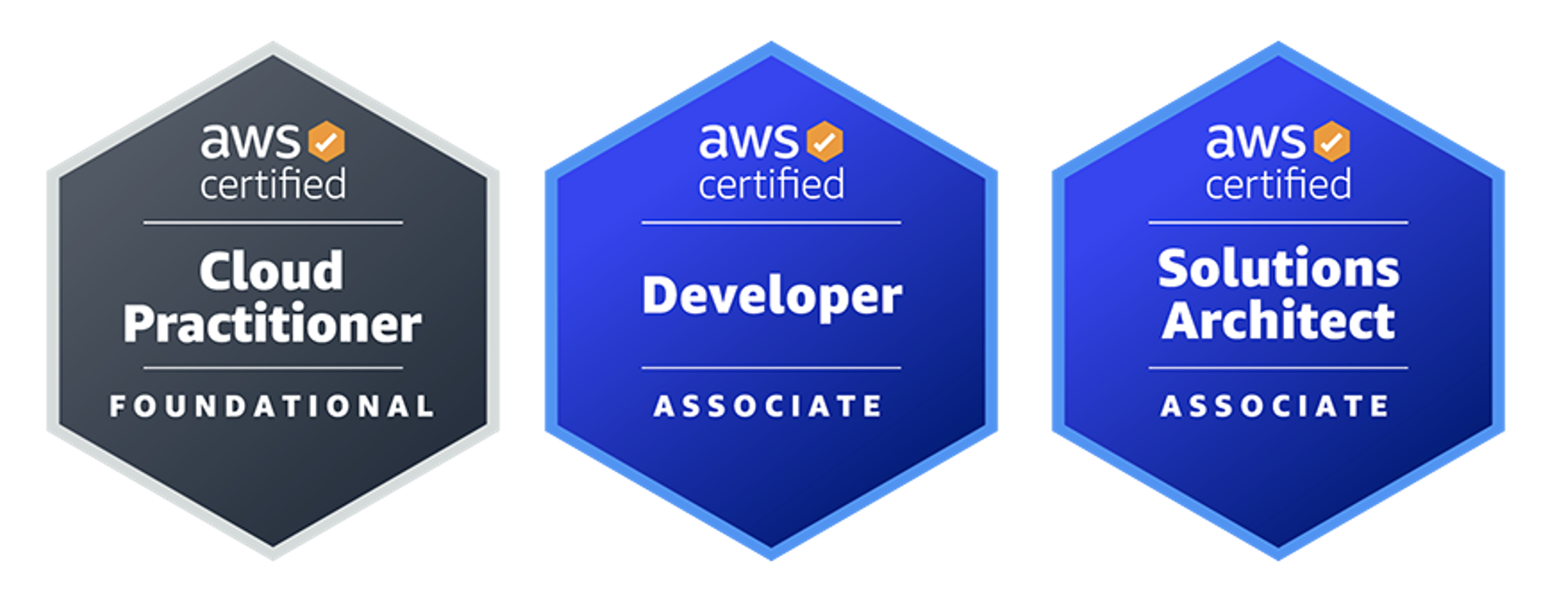 AWS Certified Solutions Architect